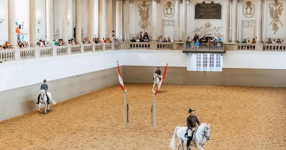 Wien: Spanische Hofreitschule Training